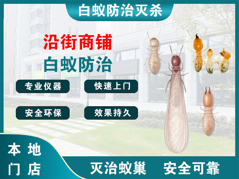 昆山市沿街商铺白蚁防治