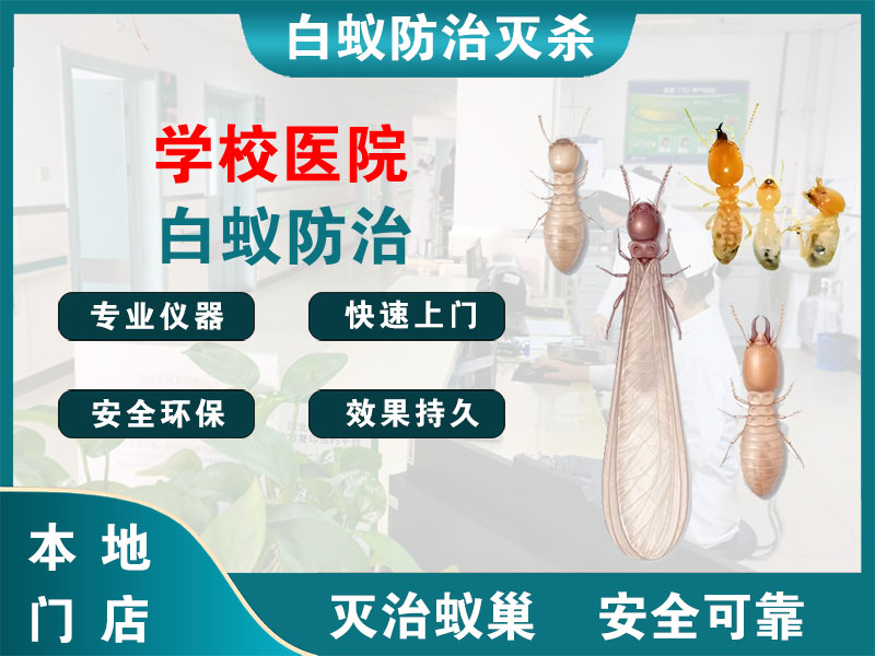 昆山市学校医院白蚁防治