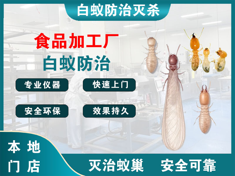 昆山市食品加工厂白蚁防治