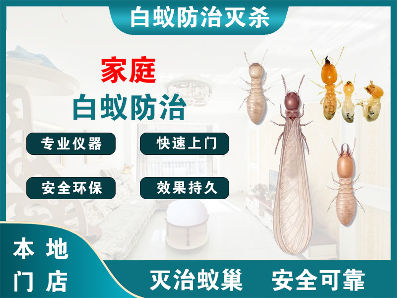 昆山市家庭白蚁防治
