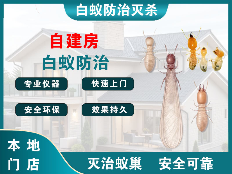 昆山市自建房白蚁防治
