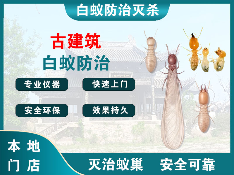 昆山市古建筑白蚁防治