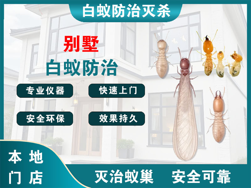 昆山市别墅白蚁防治