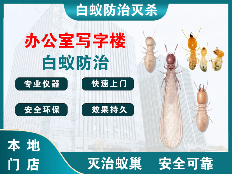 昆山市办公室写字楼白蚁防治