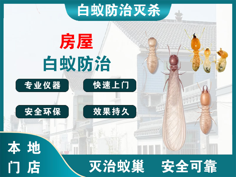 昆山市房屋白蚁防治